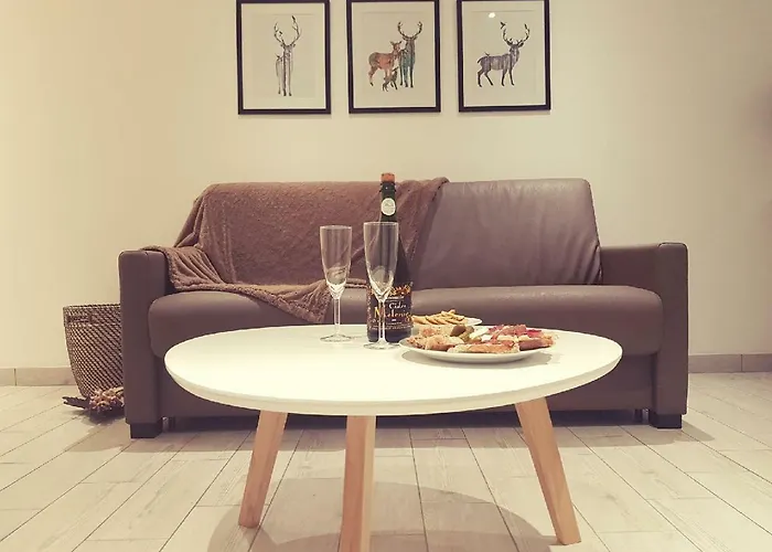 ô Tour's Angels Febvotte * Tours